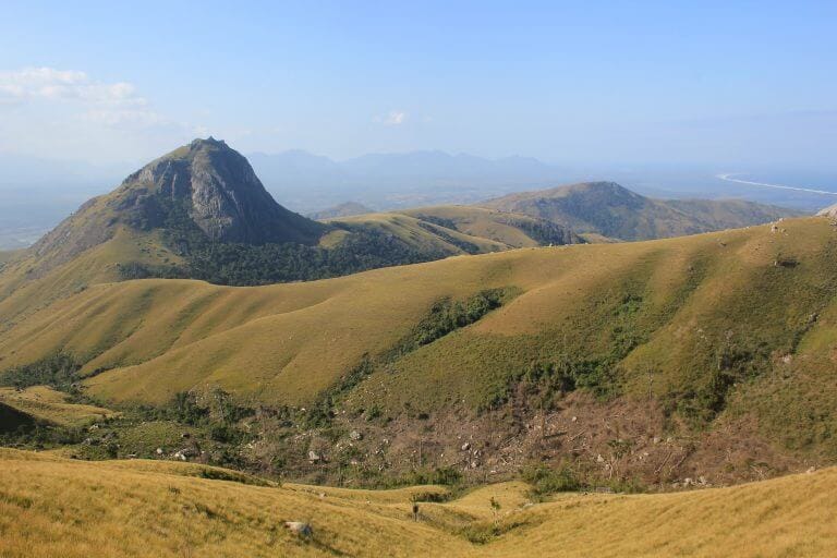 Factors influencing terrestriality in primates of the Americas and Madagascar