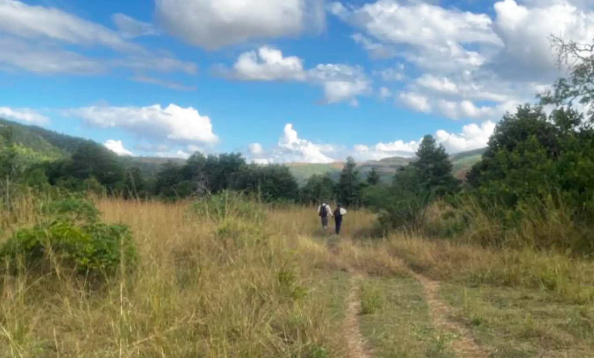 A WILD TREK, Part 2