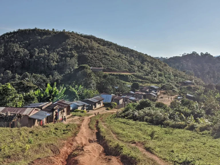 OF LEECHES AND LEMURS: SOCIAL RESEARCH IN AND AROUND ANJANAHARIBE-SUD