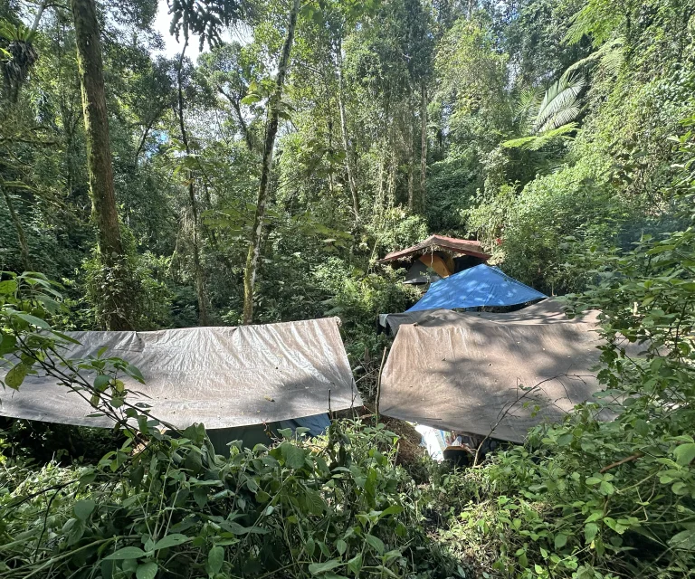 THE PATH UP THE MOUNTAIN