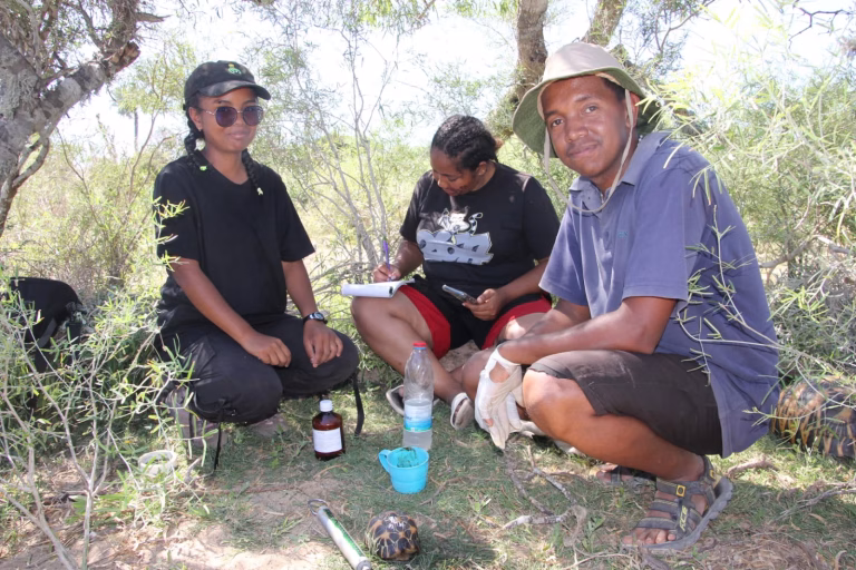 What Can Tortoise Droppings Tell Us: Exploring Parasites in Wild Radiated Tortoises
