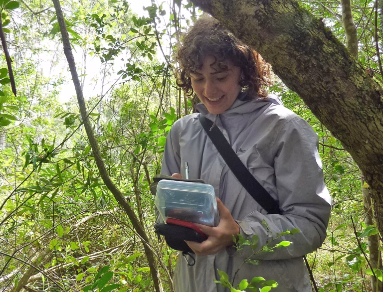 LEARNING TO SEE BY LOOKING FOR CHAMELEONS