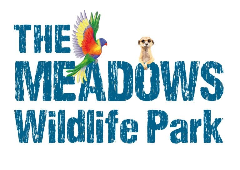 Wildlife Madagascar Partners with The Meadows Wildlife Park, Cardiff, to Bring Lemur Conservation to UK Audiences