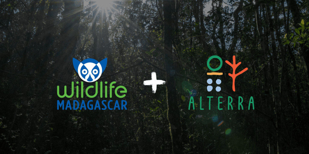 Forest background with Wildlife Madagascar logo on the left and Alterra logo on the right, connected by a white plus sign, indicating a partnership