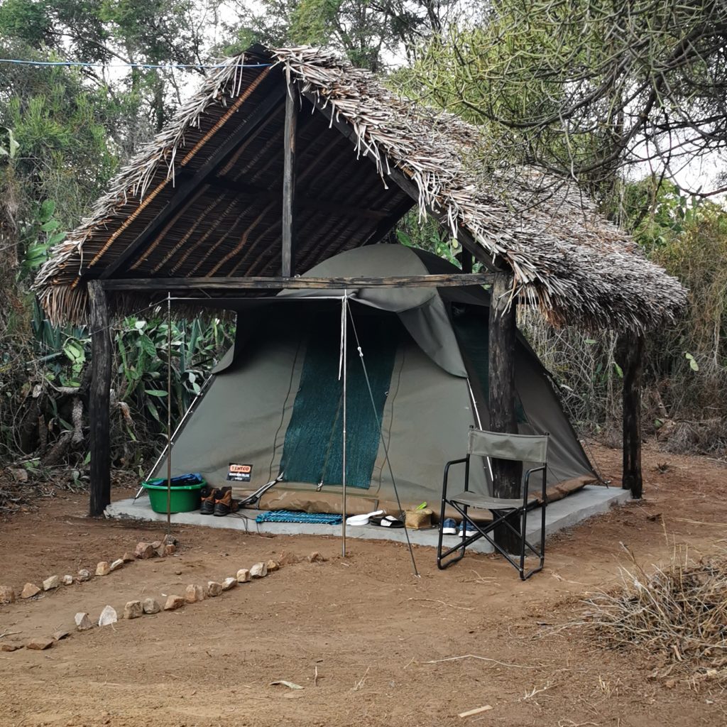 Open-front camping shelter with a canvas tent underneath a thatched roof and outdoor gear scattered outside