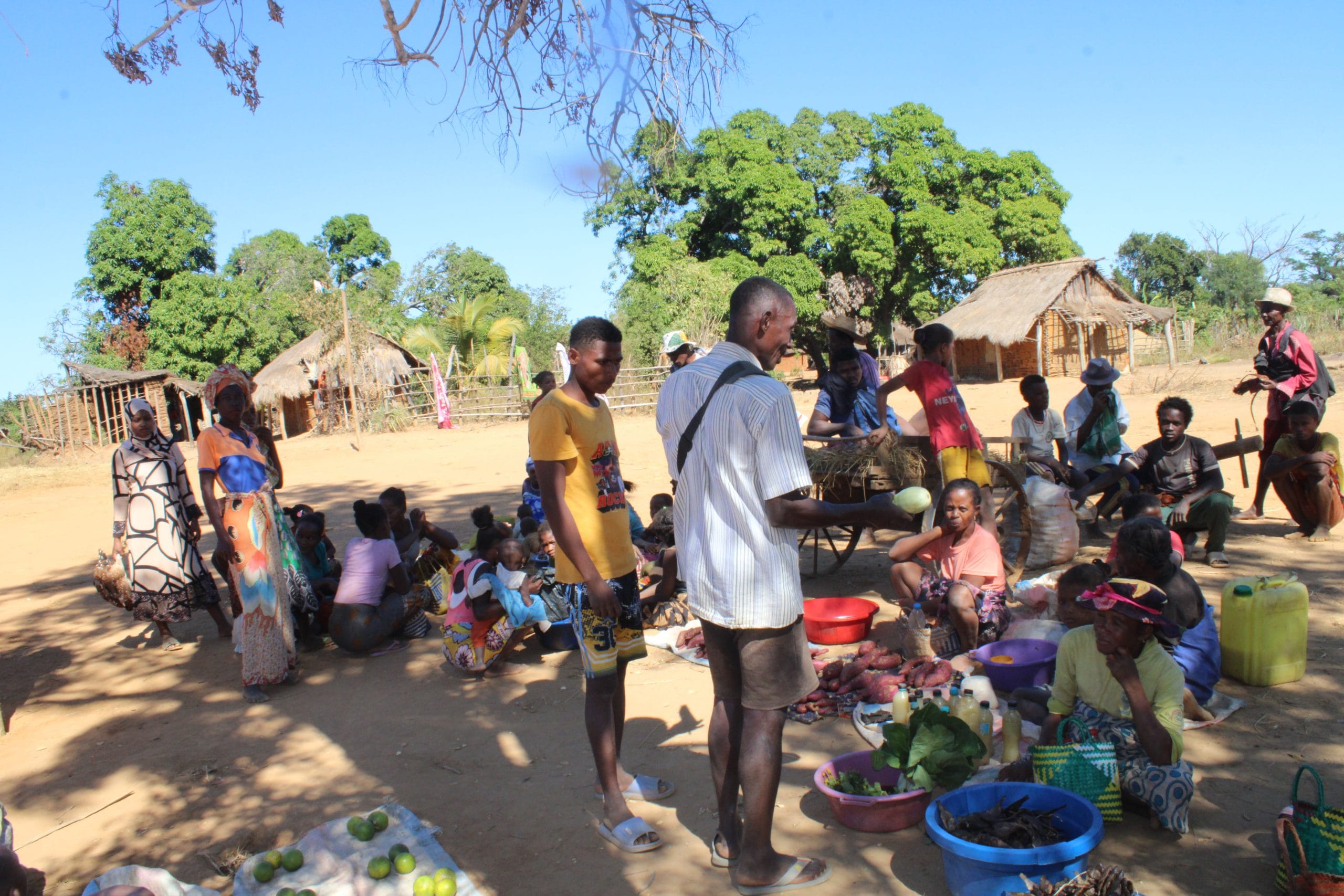 Group of villagers gathered around a dirt market, with baskets of produce and children sitting nearby, thatched huts in the background.