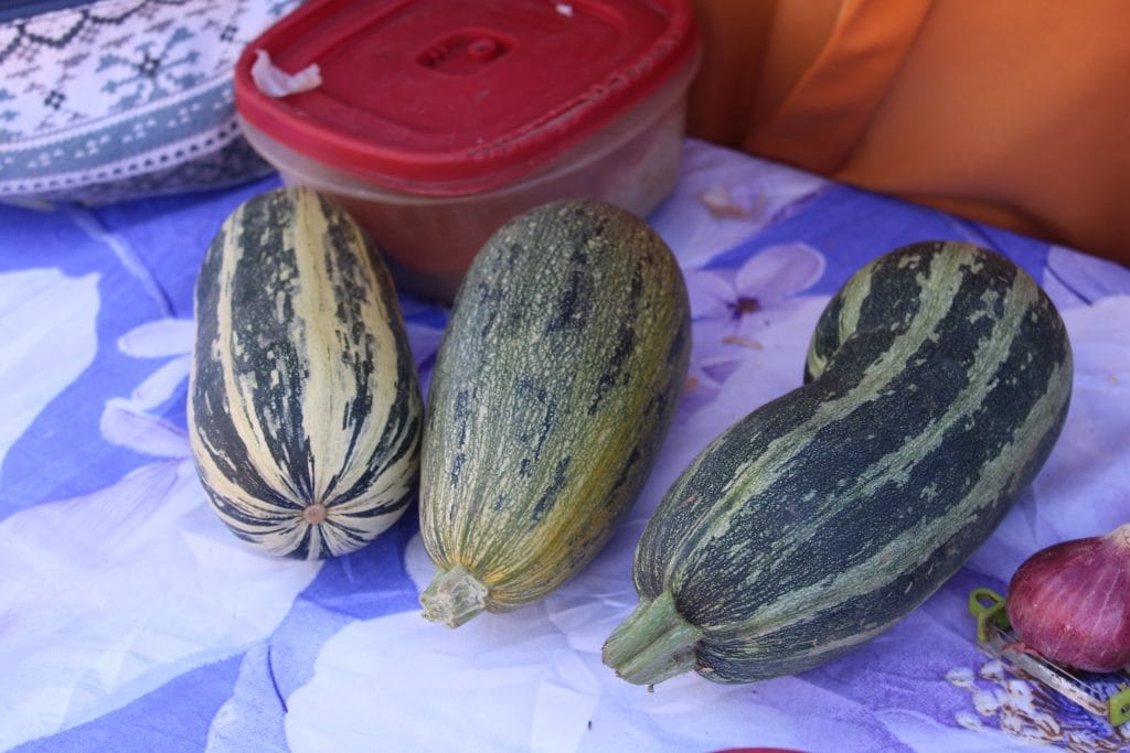 Several green and cream striped squash arranged on a purple tablecloth at a market stall.