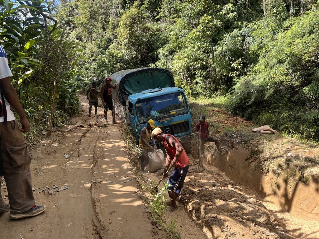 A dirt forest road with several workers loading bags next to a blue truck covered by a green canvas, digging and clearing debris under trees.
